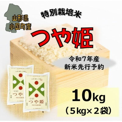 【ふるさと納税】【令和7年産新米先行予約】つや姫10kg(5k×2袋)山形県小国町産　精米　小国米穀商業協同組合【1545814】