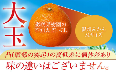 【贈答】【大玉】不知火 約4.5kg（13-15個）ー3月中旬～4月中旬頃に発送ー 長与町/彩咲果樹園 [ECM001] しらぬい 不知火 デコポン でこぽん 柑橘 かんきつ みかん ミカン 蜜柑 大