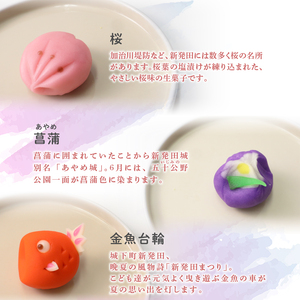 練り切り あんこ 新発田づくし 和菓子 洋菓子 あんこ 和菓子 菓子 お菓子 スイーツ 甘味 新潟県 新発田市 sinpo003