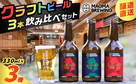 クラフト ビール 3本 飲み比べ セット K267-001 酒 アルコール お酒 クラフトビール 地ビール 特産品 慶生会 ふるさと納税 鹿児島 おすすめ ランキング プレゼント ギフト