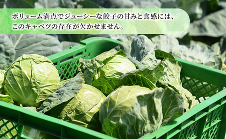 ボリューム満点 手作り冷凍餃子 30個（4～6人前）(15個×2袋)［錦華園］【 野菜 キャベツ たっぷり 厚い 手包み 手作り もちもち モチモチ 汁 町中華 中華 北海道 十勝 幕別 】