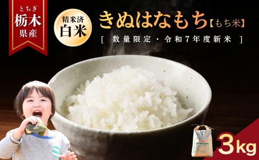 きぬはなもち(もち米)  3kg | お米 米 もち米 ミルキークイーン きぬはなもち とちぎの星 コシヒカリ こしひかり 美味しい お弁当 選べる 定期便 ふるさと 納税 栃木県 矢板市