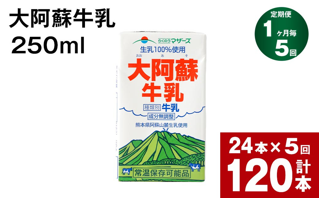 
【1ヶ月毎5回定期便】 牛乳 大阿蘇牛乳 250ml 計120本
