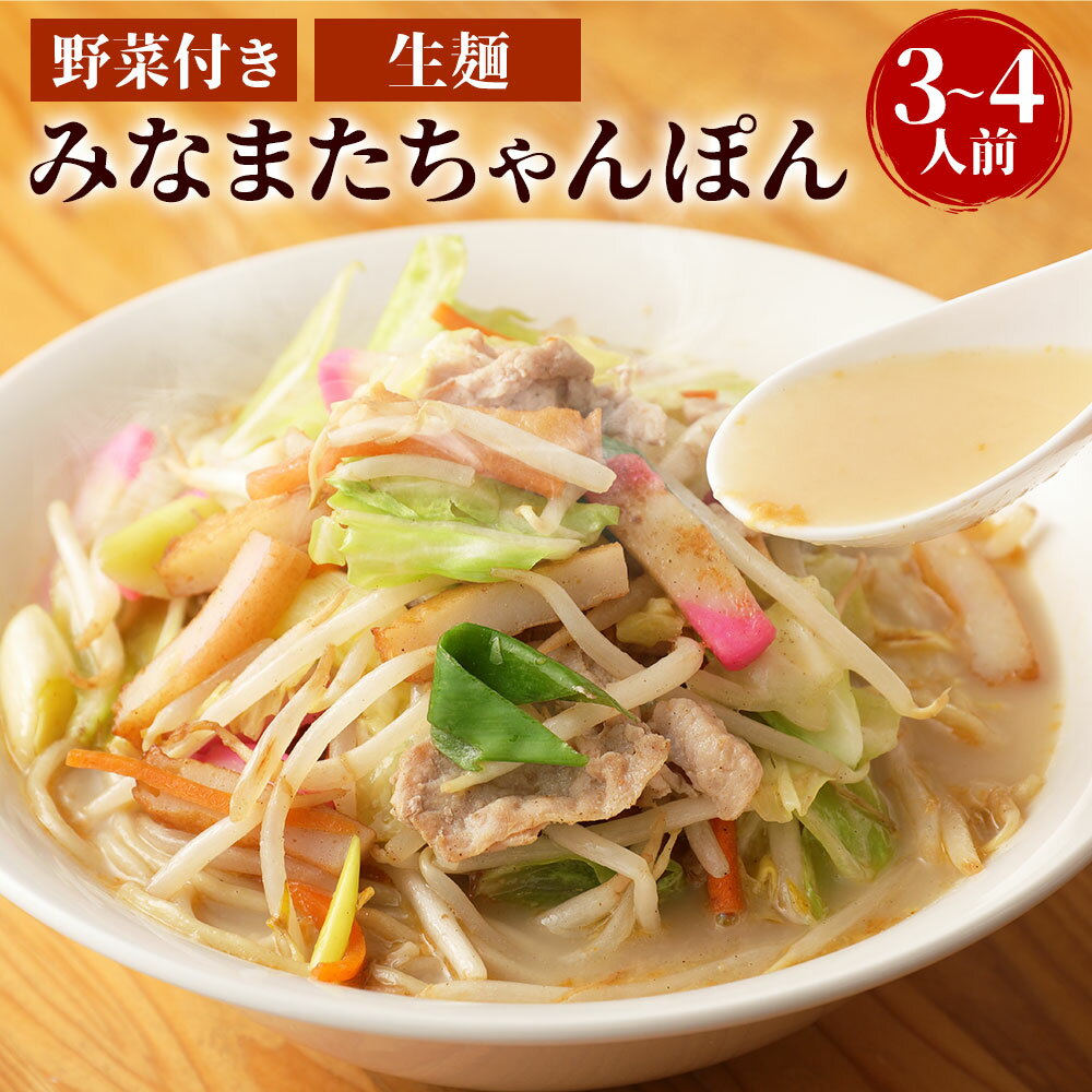 【ふるさと納税】【TVで紹介されました！】みなまたちゃんぽん 3〜4人前 生麺 野菜付き 具材セット 白湯ちゃんぽんスープ お取り寄せ 水俣ちゃんぽん チャンポン 本格 簡単調理 国産 九州産 食品 送料無料