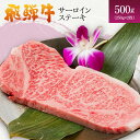 【ふるさと納税】岐阜県海津市産 飛騨牛サーロインステーキ(250g×2枚)　牛肉・サーロイン・ステーキ・飛騨牛・サーロインステーキ・500g