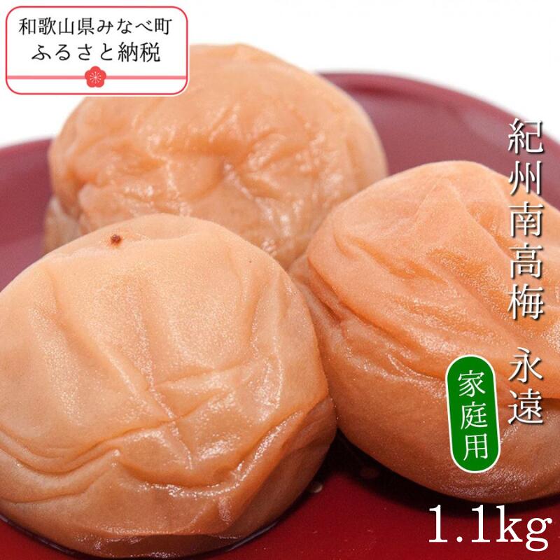 【ふるさと納税】紀州南高梅永遠〔家庭用〕1.1kg | 訳あり 《日本一の梅の産地》 《百年の伝統》 紀州 紀州梅干 和歌山 梅 うめ ウメ 梅干し 梅干 塩分控えめ ハチミツ はちみつ梅 甘い 甘口