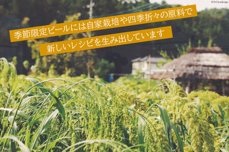 おすすめ ビール 12本セット