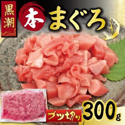 ふるさと納税 宿毛市 本まぐろ ぶつ切り 約300g