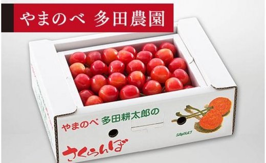 《2026年先行予約》【佐藤錦】バラ詰 L 500g【やまのべ多田耕太郎のさくらんぼ 多田農園】期間限定 数量限定 F4A-0036