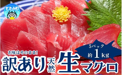 【訳あり】和歌山県すさみ産 天然生マグロ 冷凍 生 計1kg（約200g×5パック）　まぐろ マグロ 鮪 赤身 海鮮丼 鮪 寿司 海鮮  小分け 刺身 和歌山 すさみ町 キハダマグロ メバチマグロ 大容量  【scp003B】
