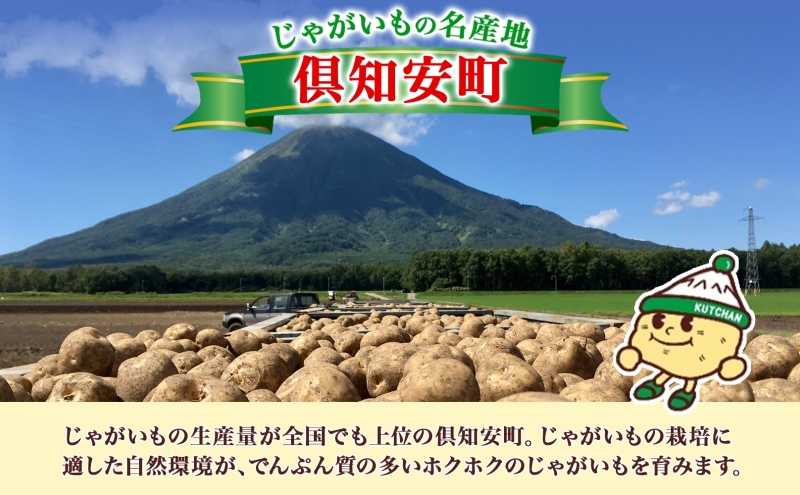 北海道産 じゃがいも きたあかり 5kg 規格外 訳あり S-3L サイズ混合 新じゃが 芋 ジャガイモ いも 野菜 農作物 お取り寄せ キタアカリ馬鈴薯 ニセコファーム 送料無料