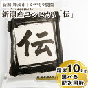 【ふるさと納税】令和5年産 新潟産コシヒカリ「伝」白米真空パック 精米10kg（5kg×2）選べる配送回数（通常配送1回～定期便12回） 南麻布の高級料亭で提供される極上米 かやもり農園