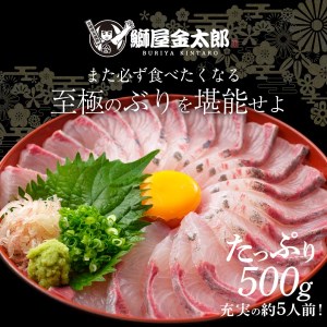 宮崎産 新海屋 鰤屋金太郎 金太郎ぶり 500g　冷凍　N018-ZA462_2