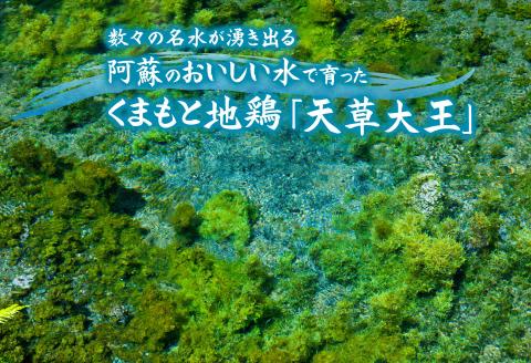 くまもと地鶏 天草大王 もも肉・むね肉1kgセット もも肉 むね肉 1kg 地鶏 鶏肉 鶏 むね もも カット 炭火焼 人気 希少 貴重 美味しい ヘルシー ジューシー セット 食べ比べ 熊本 阿蘇