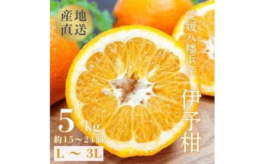 ＜爽やか香りと柔らかジューシーな果肉＞愛媛八幡浜産 宮内伊予柑 5kg＜C20-55＞【1595885】 YWTI050