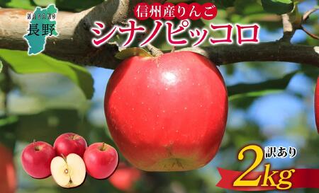 ＜26年発送 先行予約＞長野県産 りんご シナノピッコロ 訳あり 約2kg リンゴ 旬 フルーツ 訳アリ 林檎 果物 規格外 自家用 産地直送 農園 産直 お取り寄せ もぎたて 採れたて 送料無料 堀田農園 信州 大町市