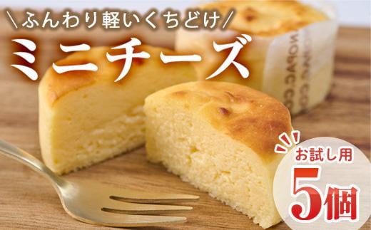 ＜お試し用＞濃厚チーズケーキ (計5個) チーズケーキ チーズ スイーツ 冷凍 お菓子 おやつ 焼き菓子 お取り寄せ 大分県 佐伯市【AJ74】【(有)ケーキ大使館クアンカ・ド−ネ】