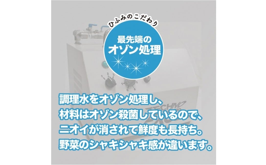 【具材付】長崎冷凍ちゃんぽん ( 10食 ) ／ 長崎ちゃんぽん ちゃんぽん チャンポン 麺 麺類 スープ 具付き 長崎名物 ご当地 ひふみ 長崎県 長崎市
