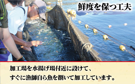 【旨味がギュッッと凝縮！】旬の魚 干物 5種 詰め合わせ【松園水産】[RBO012]