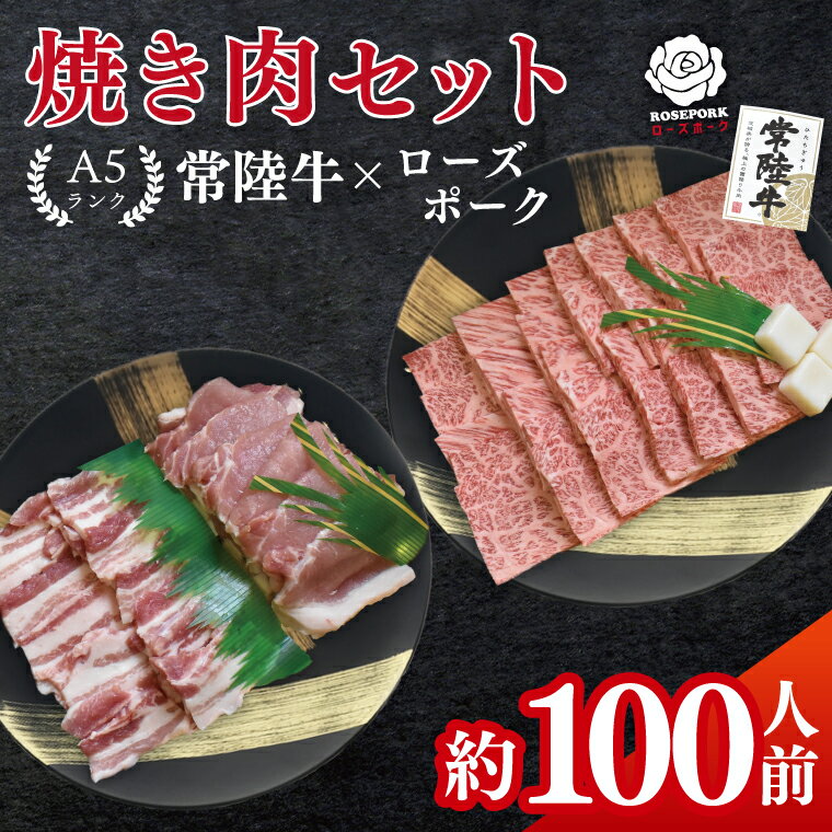 【ふるさと納税】常陸牛A5ランク・ローズポーク焼肉セット　合計約100人前！｜焼肉 BBQ カルビ ロース バラ 国産牛 和牛 牛肉 豚肉 茨城県 水戸市 国産 老舗精肉店（EK-90）