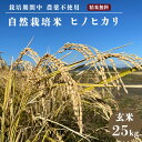 【ふるさと納税】自然栽培米 ヒノヒカリ 玄米 25kg　京都府・亀岡産 令和5年産 栽培期間中農薬不使用※離島への配送不可☆月間MVPふるさと納税賞 第1号（2020年10月）