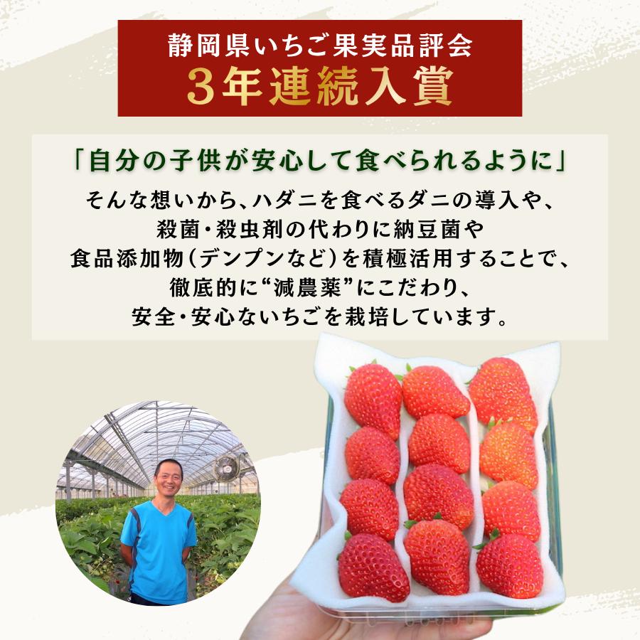 【先行予約＿2027年出荷分】 完熟いちご280g 福岡S6号 4パック（DXパック）【 福岡S6号 いちご 苺 イチゴ 果物 フルーツ くだもの 旬 伊豆 静岡県 期間限定】　