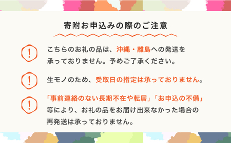 【先行予約】サンふじ 3kg りんご ns-risfx3