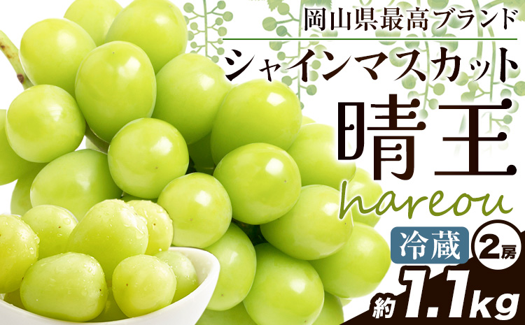 ぶどう 【2025年先行予約]】シャインマスカット 晴王 1.1kg (2房)《2025年9月中旬-11月上旬頃出荷》ハレノスイーツ 岡山中央卸売市場店 マスカット 送料無料 岡山県 浅口市 フルーツ 果物 贈り物 ギフト 国産 【配送不可地域あり】