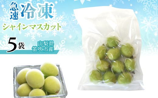 急速冷凍シャインマスカット（山梨県産） 1袋100ｇ　「5袋」 230-002-2