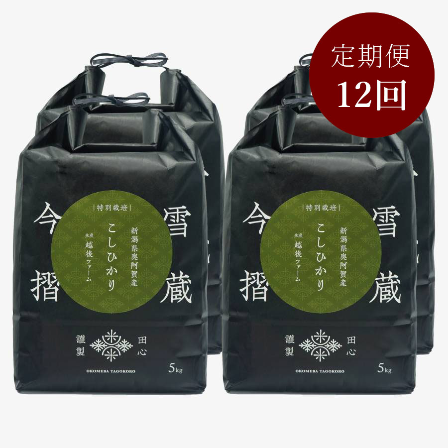 今摺米 特別栽培 新潟県奥阿賀産こしひかり20kg（生産者：越後ファーム）定期便12回