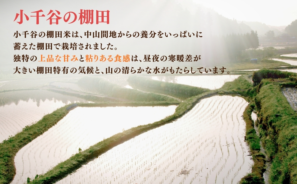 令和7年産 魚沼産コシヒカリ おぢや棚田米コンテスト入賞者の栽培した棚田米 精米60kg（5kg×2袋×6回）定期便毎月発送【0002-RC09DB00-02】