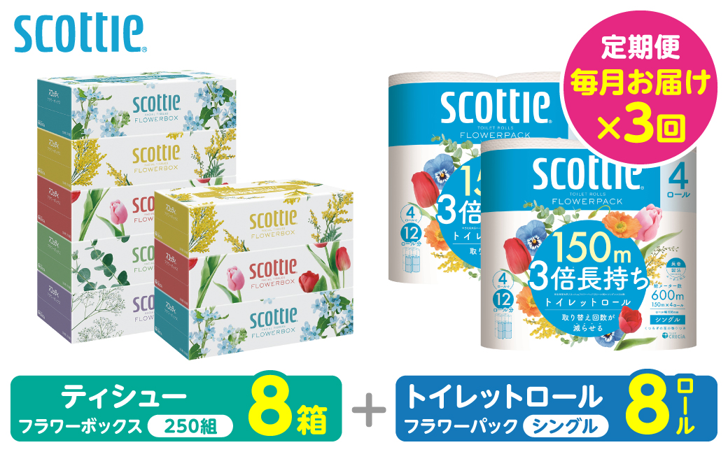 【定期便3回】【毎月お届け】【スコッティ】 組み合わせ ティシュー フラワーボックス 250組 8箱 計24箱 トイレットロール シングル フラワーパック 3倍長持ち 8ロール 計24ロール ティッシュ トイレットペーパー 日用品 防災備蓄 ストック 備蓄 新生活 防災 消耗品 生活用品 日用消耗品 箱ティッシュ