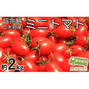 【ふるさと納税】超完熟ミニトマト【アイコ】お試し2kg（1kg×2箱）　野菜・ミニトマト　お届け：2025年8月上旬～10月下旬