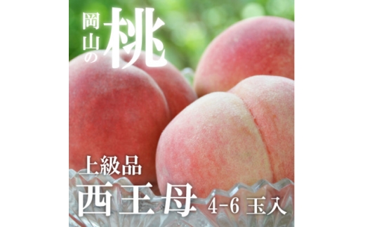＜2026年先行予約＞女神の名を持つ希少な晩生桃、西王母(上級品)4-6玉入(岡山県産)_桃 西王母 晩生 希少 上級品 4玉 6玉 贈答 岡山県 津山市 果物 フルーツ もも モモ 産地直送 送料無料【1696629】