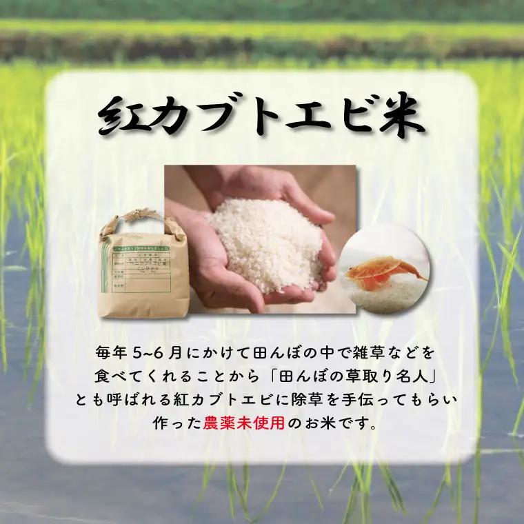 たまご 12個 & 玄米 2kg 平飼い もみじ AQ005