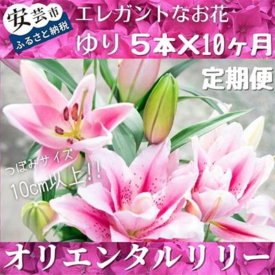 ふるさと納税 安芸市 【発送月固定定期便】ユリ(オリエンタルリリー)5本×全10回
