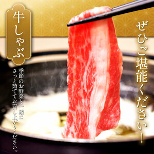 【定期12回】最高位賞を受賞！最高級ブランドの柔らかく風味豊かなとちぎ和牛切り落とし 500g（すき焼き・しゃぶしゃぶ用） | 霜降り 和牛 切り落とし とろける 品質 柔らかく 銘柄牛 安心 安全 
