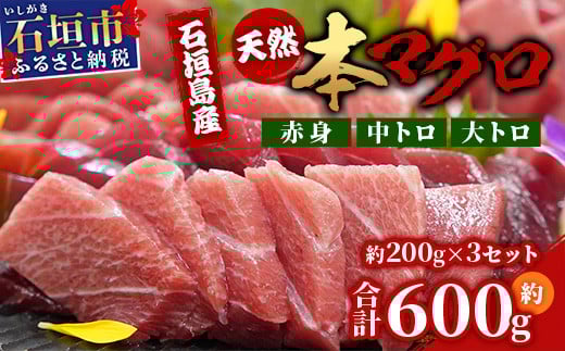 
            【数量限定】石垣島産 天然本マグロ600g (まぐろ赤身・中トロ・大トロのミックスセット) ヤエスイ マグロ船直送【2025年6月下旬より順次発送】 | 産地直送 大トロ 大とろ 中トロ 中とろ 国産 まぐろ 鮪 天然 赤身 魚 お刺身 本まぐろ マグロ 沖縄県 沖縄 琉球 八重山 八重山諸島 石垣島 石垣 石垣島産
          