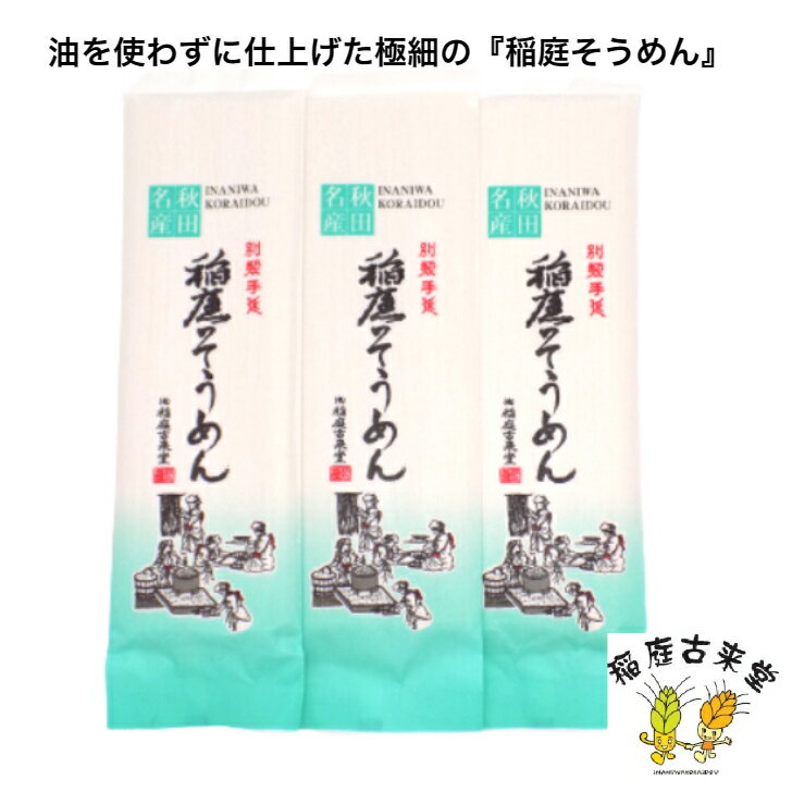 【ふるさと納税】稲庭古来そうめん お徳用袋入り160g×3袋【(有)稲庭古来堂】[A1405]