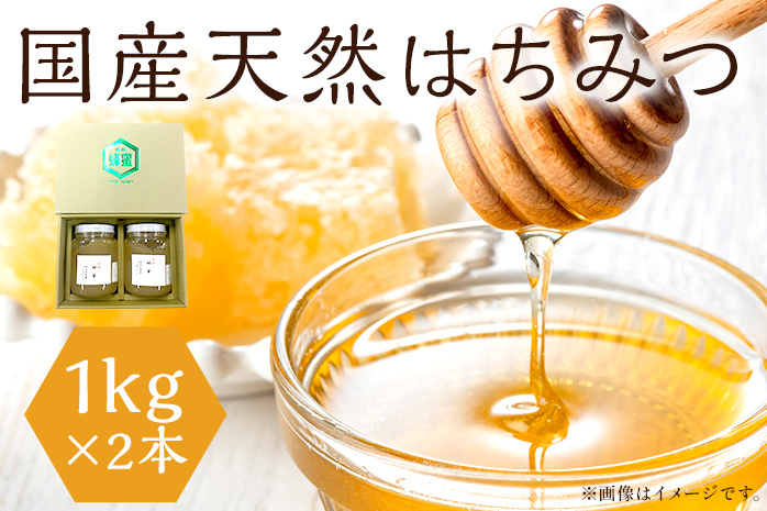 はちみつ 国産 蜂蜜 ハチミツ 1kg 国産 天然 はちみつ 500g×2本 計1kg 福岡県 福岡 九州 グルメ お取り寄せ