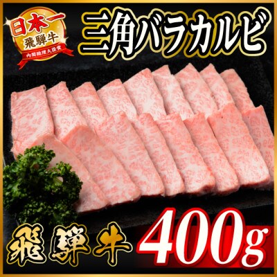 飛騨牛　三角バラカルビ焼肉　400g　タレ付き　BBQ用【配送不可地域：離島】【1745663】
