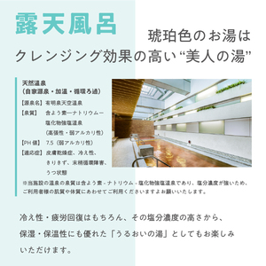 泉天空の湯 有明ガーデン　全日入館券(中学生以下) 【kt014-002-3】 天然温泉 ｻｳﾅ お風呂 入館券 ﾁｹｯﾄ 旅行