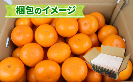 はれひめ 5kg ワールドファーマーズ 果物 フルーツ 柑橘 みかん 蜜柑 産地直送 農家直送 数量限定 国産 愛媛 宇和島 B012-024005