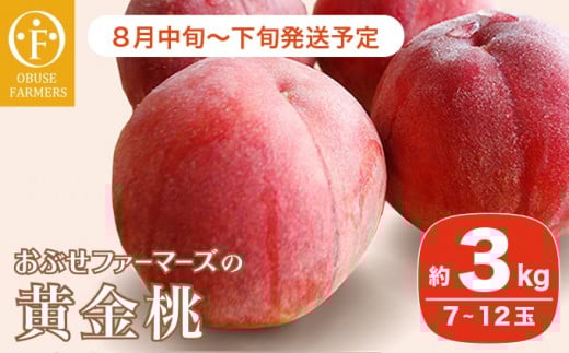 黄金桃 約3kg 7～12玉 ［おぶせファーマーズ］桃 もも モモ フルーツ 果物 クール便 冷蔵便 長野県産 信州産  令和8年産【2026年8月中旬～下旬発送】