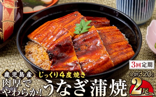 【3回定期】うなぎ 蒲焼 160g×2尾【鹿児島産】地下水で育てた絶品鰻