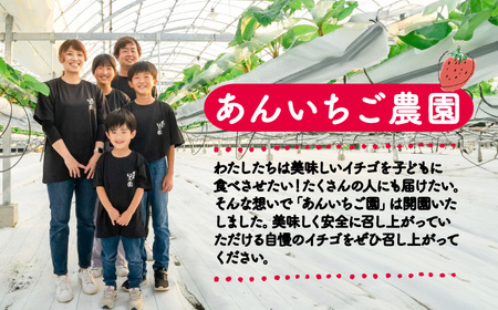 紅ほっぺ 540g 苺 いちご 3月 ～ 順次発送 いちご いちご いちご いちご いちご いちご