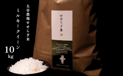 《令和7年産・新米》太谷農場のせせらぎ米 ミルキークイーン10kg /長野県白馬村産 2025年産 米 コメ 白米  精米後発送 2023年特別最高金賞受賞 コンクール受賞 お米 ご飯 ごはん 送料無料【B0100222】