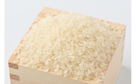 市貝町産 特別栽培米〈ゆうだい21〉10kg ｜ 国産 栃木県産米 お米 特別栽培米 精米 白米 栃木米 とちぎ米 ※離島への配送不可