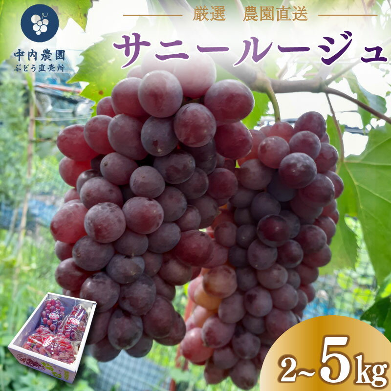 【ふるさと納税】 ぶどう サニールージュ 2kg 5kg 《 2026年 7月 下旬 から 順次発送 》フルーツ ぶどう 葡萄 期間限定 旬 産地直送 農家直送 産直 贈答 家庭用 ギフト 中内農園 ぶどう 直売所 徳島県 阿波市