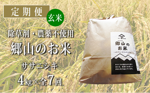 
定期便 4kg×7ヶ月 農薬・除草剤不使用 体に優しいササニシキ「郷山のお米」（2kg×2袋）
